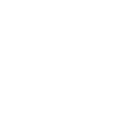 رسم توضيحي لتأسيس شركة MercadoLibre SAS
